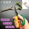 Tijeras para uvas de fábrica directa cabeza de acero inoxidable jardinería Poda flor ramas de flor frutas delgadas tijeras para recoger punto
