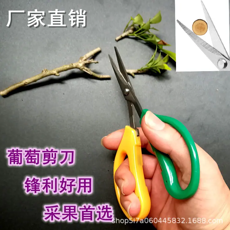 葡萄剪刀.jpg
