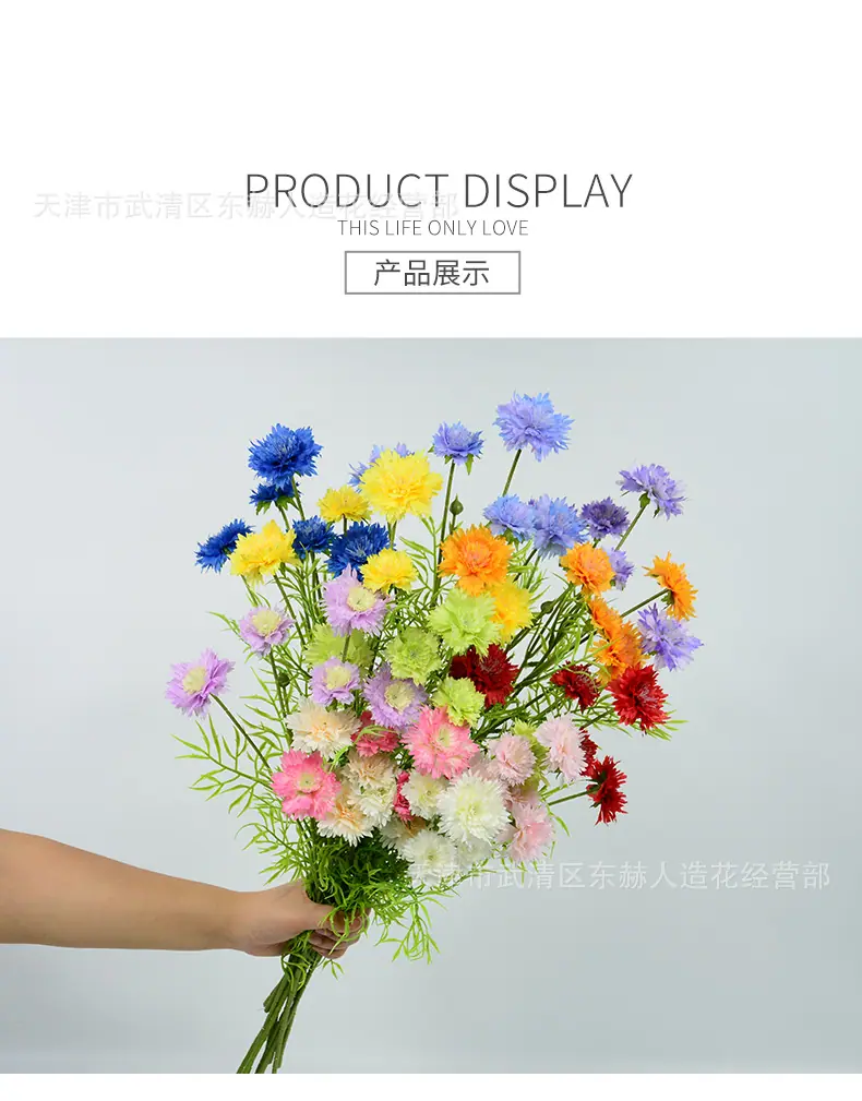 详情_05.jpg