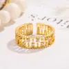 Anel de Renda Vazado com Diamantes Brilhantes de Novo Estilo para Mulheres, Luxo Leve, Sensação de Alto Padrão, Anel Aberto de Nicho, Anel de Banda Lisa, Anel de Dedo Mínimo, Anel de Dedo Indicador