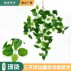Amazon Simulación Potos Colgante de Pared Enredadera Planta Verde Falsa Decoración Hojas Enredaderas Cubierta de Tubería Adorno Planta Artificial