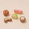 Mini Estéreo Comida de Nueces Juguete Dibujo Animado Hecho a Mano Accesorios para Joyería DIY Pegamento de Crema Resina Accesorios Pequeños Material para Pasador de Pelo