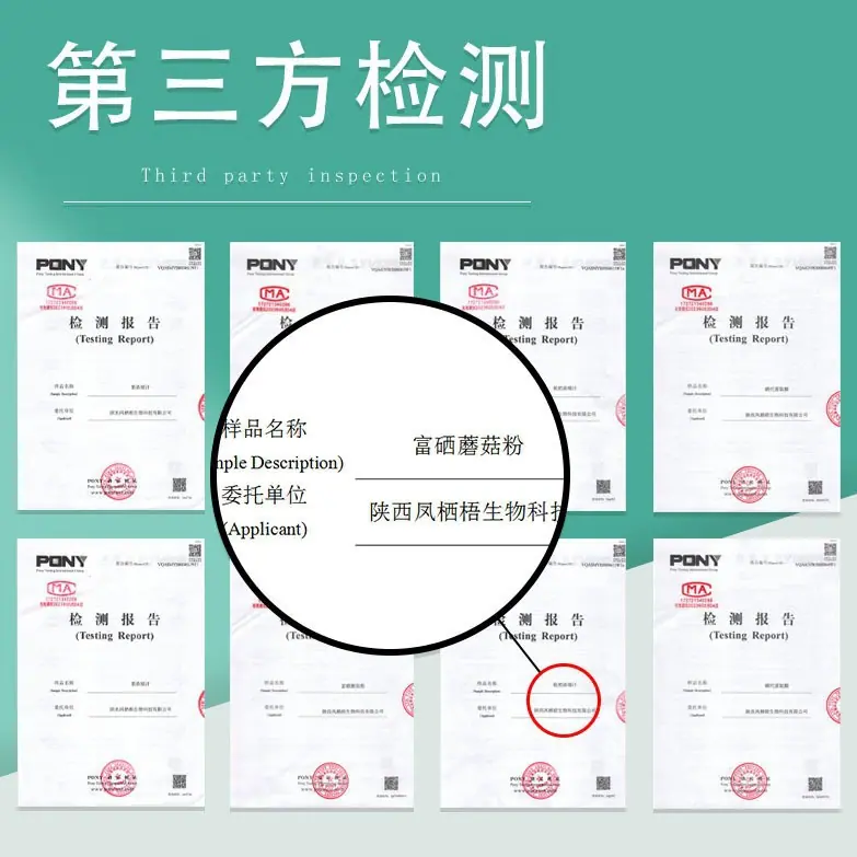 第三方