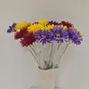 Flores artificiais para o Dia do Professor, margaridas africanas, buquês de flores preservadas, arranjos florais para decoração de cenários, enfeites de flores artificiais, materiais DIY, arte floral