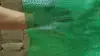 Bolsas de Protección de Taludes, Protección y Vegetación de Taludes, Bolsas de Plantación Antienvejecimiento, Bolsas de Geomembrana Antienvejecimiento de Polipropileno, Bolsas de Prevención de Inundaciones Fluviales