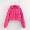 Outono e Inverno 2024 Europeu e Americano Aliexpress Transfronteiriço Jaqueta Curta com Capuz de Algodão Roupas de Exterior Acolchoada à Mão com Algodão Jaqueta de Roupa de Exterior de Inverno Feminina Roupa de Exterior de Algodão