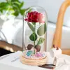 Rosa Flor Eterna Cubierta de Vidrio Luz Nocturna Día de San Valentín Regalo de Navidad Arreglo de Cumpleaños Adornos de Escritorio Transfronterizo