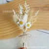 Ramo Mini de Flores Secas Transfronterizo de 12 cm, Flores Reales, Rosas, Gypsophila, Regalo, Ramillete, Decoración de Coche, Decoración Hecha a Mano
