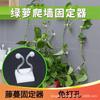 Soporte para Rábano Verde, Planta Trepadora, Escalador de Pared de Planta Verde, Gancho, Hebilla de Fijación de Alambre, Clip de Fijación con Forma de Planta Trepadora