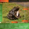 Cachorro Panda Animal de Exterior Impermeável Gramado Som Alto-falante Pátio Transmissão Paisagismo Jardim Villa Simulação