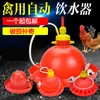 Bebedouro Automático Praison Espessado para Frangos, Alimentador de Água, Bebedouro Automático para Frangos, Patos e Gansos