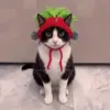 Gorro Lindo y Divertido para Mascota Disfraz de Gato Accesorio para la Cabeza Accesorios para Perro Collar Adornos Tejidos Nuevos 2026