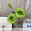 Rosas de Esquina de 3 Cabezas Simuladas Ramo Falso Flor de Boda Flor de Seda Artificial de Alta Gama Adornos Florales Decorativos para Sala de Estar Venta al por Mayor