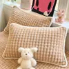 Juego de Dos Fundas de Almohada de Felpa de Leche Engrosada para Invierno Uso en el Hogar Funda de Almohada de Coral para Relleno de Almohada de Adulto