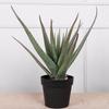Aloe Vera Artificial Escandinavo en Maceta Decoración Interior para el Hogar Maceta Grande Suculentas Adornos Planta Verde Artificial Aloe Vera Mayoreo