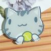 Crachá Acrílico Personalizado Broche Ins Carregador de Carro Criativo Patch Acessórios para Bolsa Pino Fresco