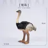 Juguete Sólido de Pájaro Artificial Modelo Animal Loro Búho Flamenco Set de Pájaros Regalo Cognitivo para Niños