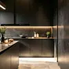 Muebles de armario de lujo ligero italianos, gabinetes de isla integrados de cocina abierta hechos a medida para toda la casa en Singapur en el extranjero