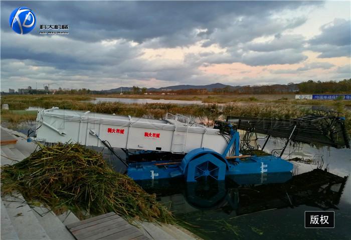 1烟台芦苇收割船 (4).jpg