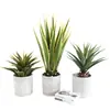 Simulação Planta Verde Bonsai Sisal Folha Grande Gladíolo Planta do Deserto Tropical Janela Paisagismo Decoração Planta Artificial Ponto
