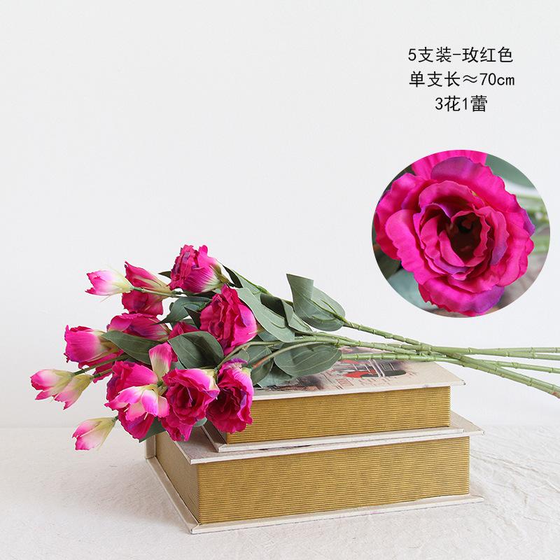 玫红5支.jpg