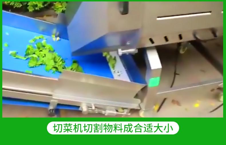 果蔬清洗线详情790_08.jpg