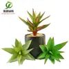 Simulación planta suculenta súper grande tamaño pequeño suculenta bonsái planta verde flor de plástico en maceta micro paisaje con pared vegetal