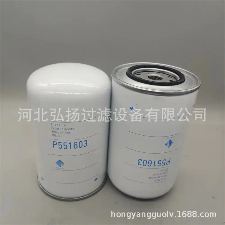 P551603 (3)