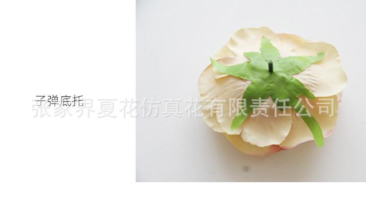 详情页_06.jpg