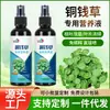 Solução Nutritiva para Grama de Moeda de Cobre Jardinagem de Flores Solução Nutritiva para Plantas Verdes Madeira da Sorte Grama Narciso Plantas Hidropônicas Solução Nutritiva Especial