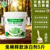 Agente blanqueador para troncos Lingwo, Árboles frutales, Prevención de insectos, Protección contra heladas, Blanqueo de bonsáis, Agente blanqueador especializado para árboles