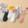 Meias Soquete Absorventes de Suor, Meias de Algodão Masculinas, Meias Descartáveis Antiodor, Itens para Todas as Estações, um Produto de Bem-Estar para Homens e Mulheres