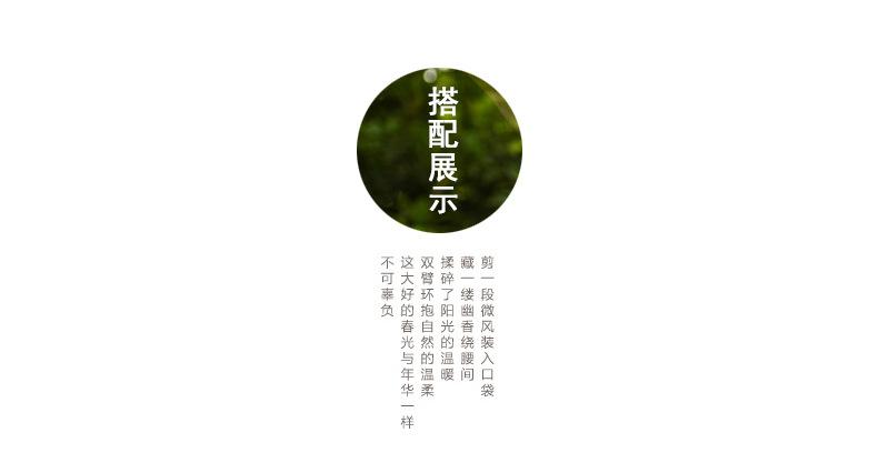 花盆01_17