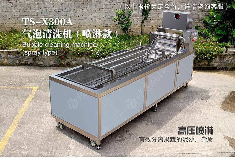 TS-X300A-气泡清洗机（喷淋款）-详情页(750px)