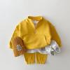 Conjunto de Sudadera y Pantalones Casuales de Algodón de Color Sólido Estilo Coreano para Niños de Primavera y Otoño con Cremallera y Cuello Alto, Venta Caliente Transfronteriza
