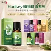 Óleo essencial de planta de rosa de artemísia Hanji 10ml salão de beleza raspagem corporal massagem óleo essencial composto atacado de fábrica