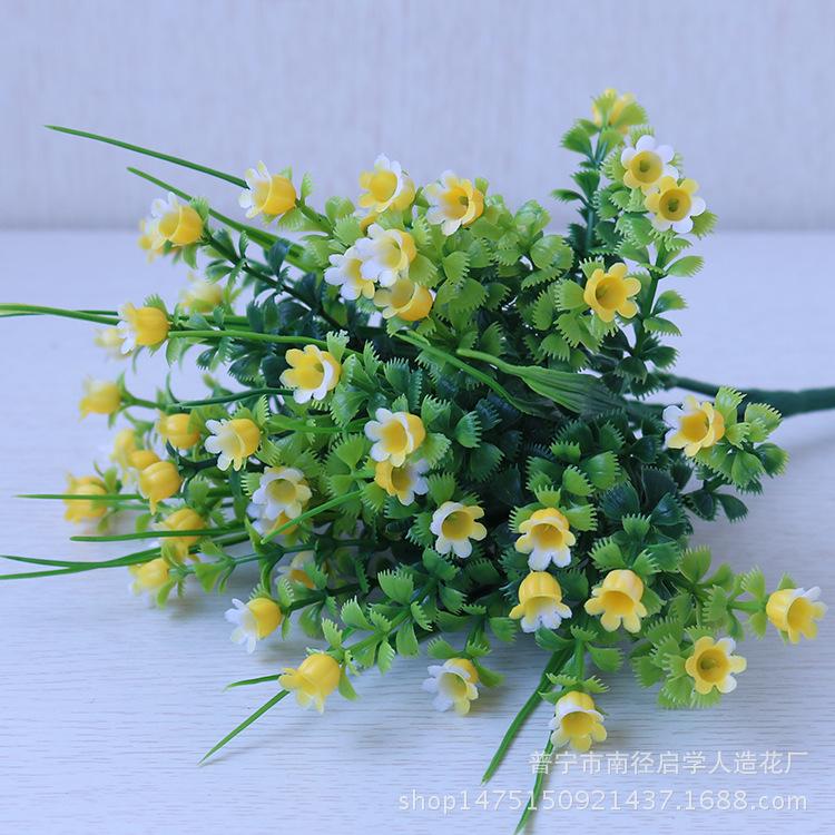 IMG_3970.png