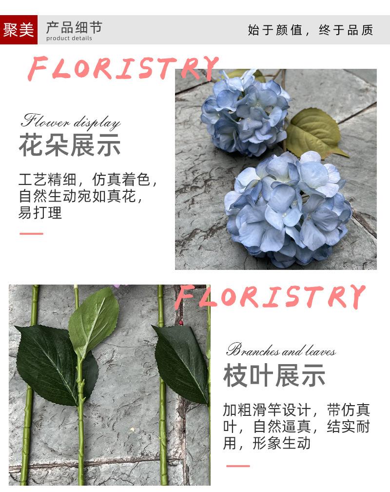 中号飞燕草-详情_04.jpg