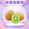 Shaanxi Zhouzhi Xuxiang Kiwi Fruta al por mayor y entrega 12/24 Grande Jugoso de Temporada Corazón Verde Fruta Fresca