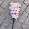 Flores Artificiales, Ramas Artificiales de Flor de Cerezo con 3 o 4 Ramas, Ramas de Flor de Cerezo para Decoración de Bodas, Flores Falsas para Decoración de Techos Interiores, Ramas Falsas de Flor de Melocotón