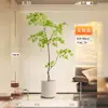 Nantian Bambú Estilo Lujo Ligero Árbol Artificial Decoración Interior Sala de Estar Adornos de Pie Paisajismo Planta Verde Biónica Flor de Seda en Maceta Otros