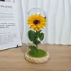 Luz Noturna Simulada de Girassol para Temporada de Formatura com Luzes de Fio, Ornamento de Flor Eterna, Presente para o Dia do Professor Dia das Mães