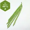 Adereços de vegetais de simulação modelo de vegetal de simulação folhas de alface falsas brócolis repolho adereços de supermercado frutas e vegetais crianças