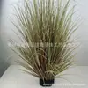 Césped de Cebolla de Caña Simulado Venta al por Mayor Hotel Boda Paisajismo Plantas Verdes Falsas Plantas Artificiales Decoración Fotografía Accesorios de Escena