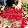 Caja de almacenamiento para exhibición de rosas acrílicas de fábrica, caja de regalo para exhibición de flores secas, caja de exhibición de flores eternas
