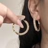 Aretes de Verano Zirconio Brillante Aretes de Plata Rota Nicho Único Aretes de Aro Lisos Hermosos Lujo Ligero Sentido Avanzado Aretes Hebilla de Oreja