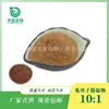 Xi'an Tianben SC fabricante pó de cipó-chines solúvel em água cipó-chines fitoterapia chinesa extrato de cipó-chines 10:1