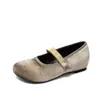Zapatos Mary Jane de terciopelo para mujer, estilo vintage otoño 2026, punta redonda, correa, corte bajo, tacón bajo, suela suave