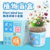 Texto Criativo Inspirador Planta em Vaso Caixa Surpresa de Plantio Infantil Prêmios para Alunos do Jardim de Infância Planta com Flor Pequena Planta em Vaso