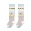 Calcetines de Bebé Verano Ultra-Delgados Tipo Malla a Algodón Recién Nacido Niña Calcetines Anti-Mosquitos Encaje Princesa Niños Calcetines
